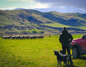 Know what you grow with the new pasture features in FarmIQ