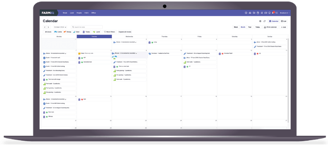 The core diary view on web