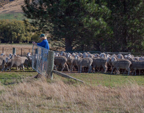 Access the info you need, faster, with new mob history updates