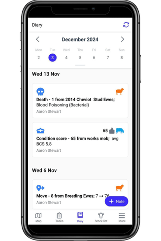 The core diary view on mobile