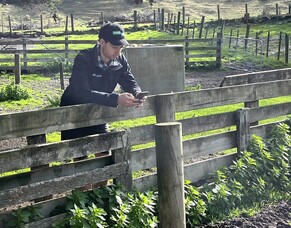 Record sales, send to graze, losses and killed on farm