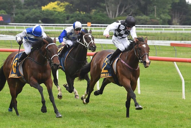 Tuxedo finished second in Saturday's 1.5 million Karaka Millions 3YO (1600m) at Ellerslie.  - Photo: Peter Rubery (Race Images Palmerston North)