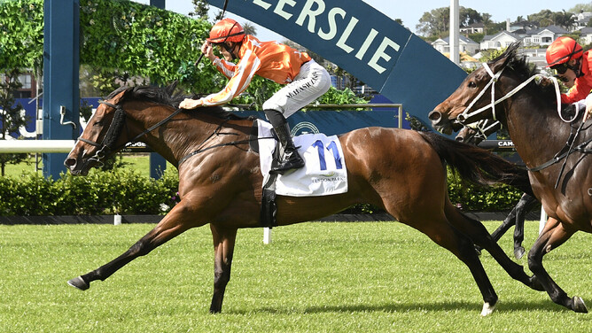 Arabian Songbird stormed home from the back of the field to win the Elsdon Park 1400.  Photo: Kenton Wright (Race Images)