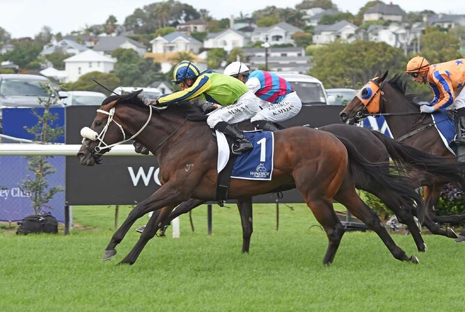 Tardelli winning at Ellerslie last Saturday. - Photo: Kenton Wright (Race Images)