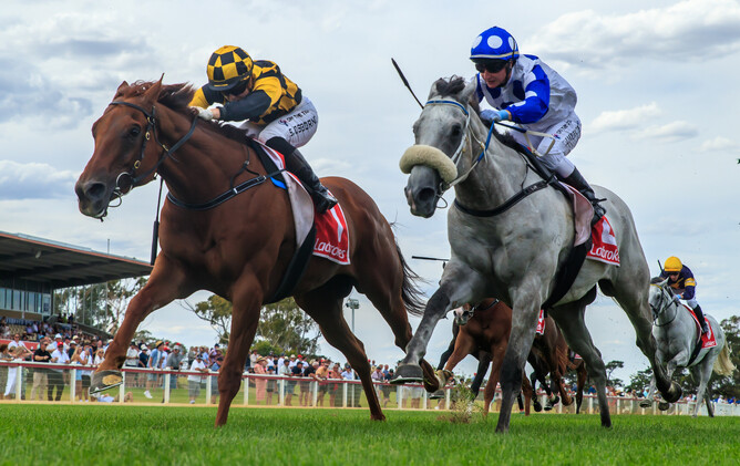 Holymanz (outer) gets the better of Riot And Rose to go back-to-back in the Coastal Classic (1700m). - Photo: Grant Courtney