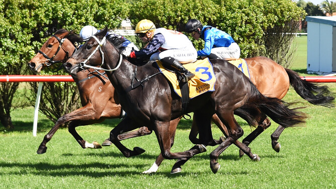 Kygo Star winning at Avondale on Wednesday.  - Photo: Kenton Wright (Race Images)