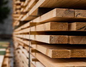 Hardwood Decking Timber vs Pine Decking