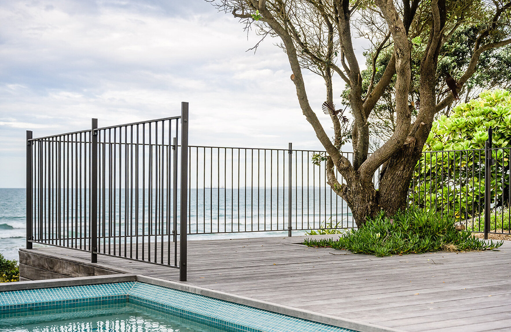 purple heart decking timber