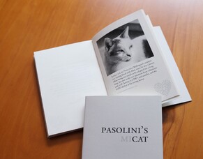 Fundraising book features Jeremy