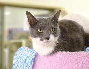 2024 Annual General Meeting