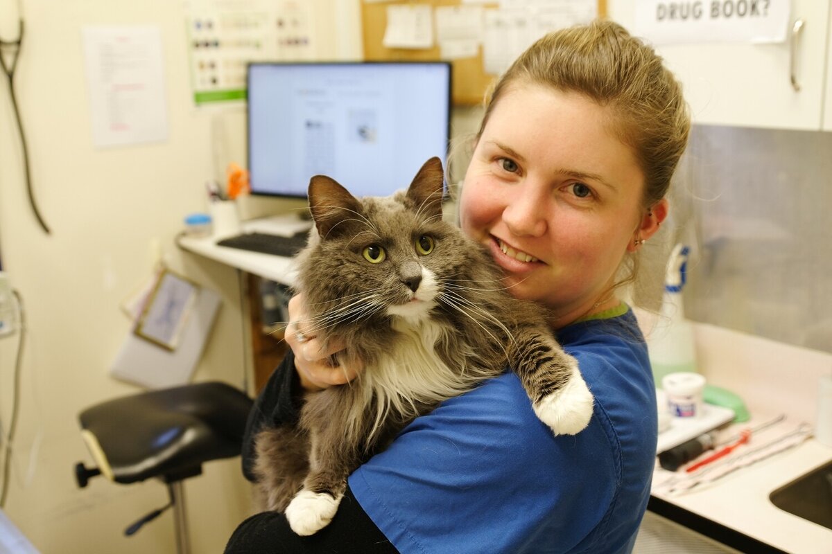 Farewell to Tasman Street Vets | Cats Protection Wellington