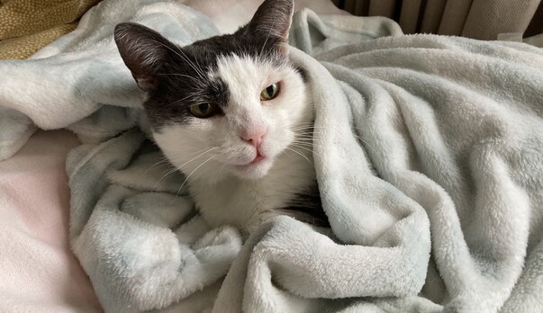 Olly gets his best life