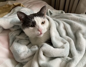 Olly gets his best life