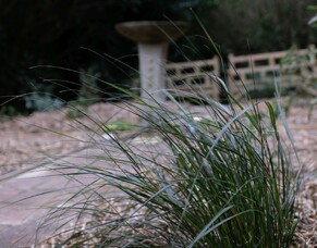 Memorial Garden ready to bloom