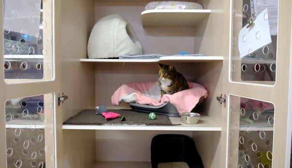 Stunning new cages revealed