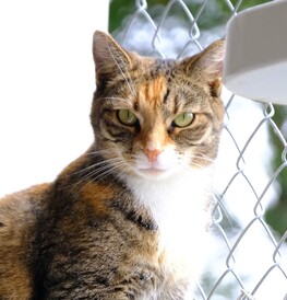 Billie - A beauty inside and out