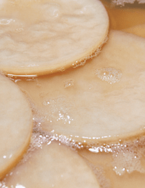 Kombucha SCOBY (organic)