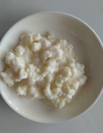 Milk Kefir Grains