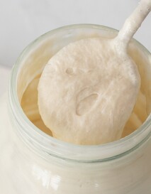 Sourdough Culture
