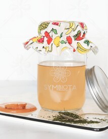JUN Kombucha Kit  