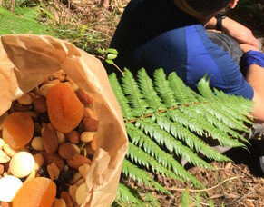 Eat. Hike. Eat. Repeat! What should I eat before, during and after long hikes?