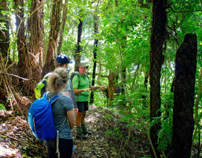 Our commitment to sustainable tourism