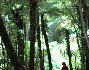 A green prescription for 2020