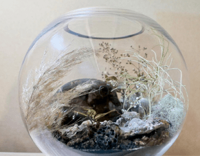 8 Ideas for Sustainable and Conscious Gifting this Christmas