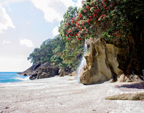 5 hidden North Island gems to add to your New Zealand experience
