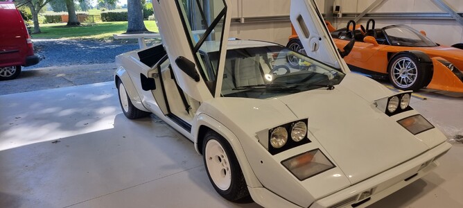 Car’s glossy surface reflecting light after a professional PPF installation.