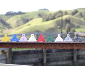 Boulder Bluff Whistles