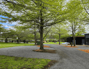 KIN UPDATE FEBRUARY 2024