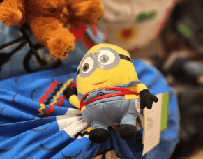 KIN UPDATE JULY 2024