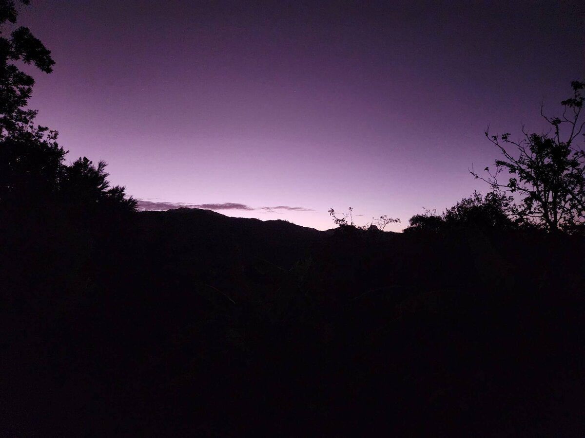 frequently-asked-questions-bookings-fares-shuttles-coromandel-taxi