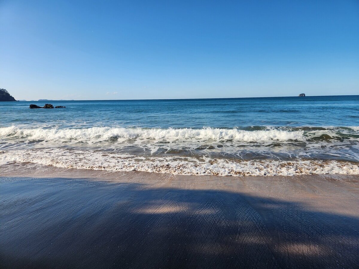 frequently-asked-questions-bookings-fares-shuttles-coromandel-taxi