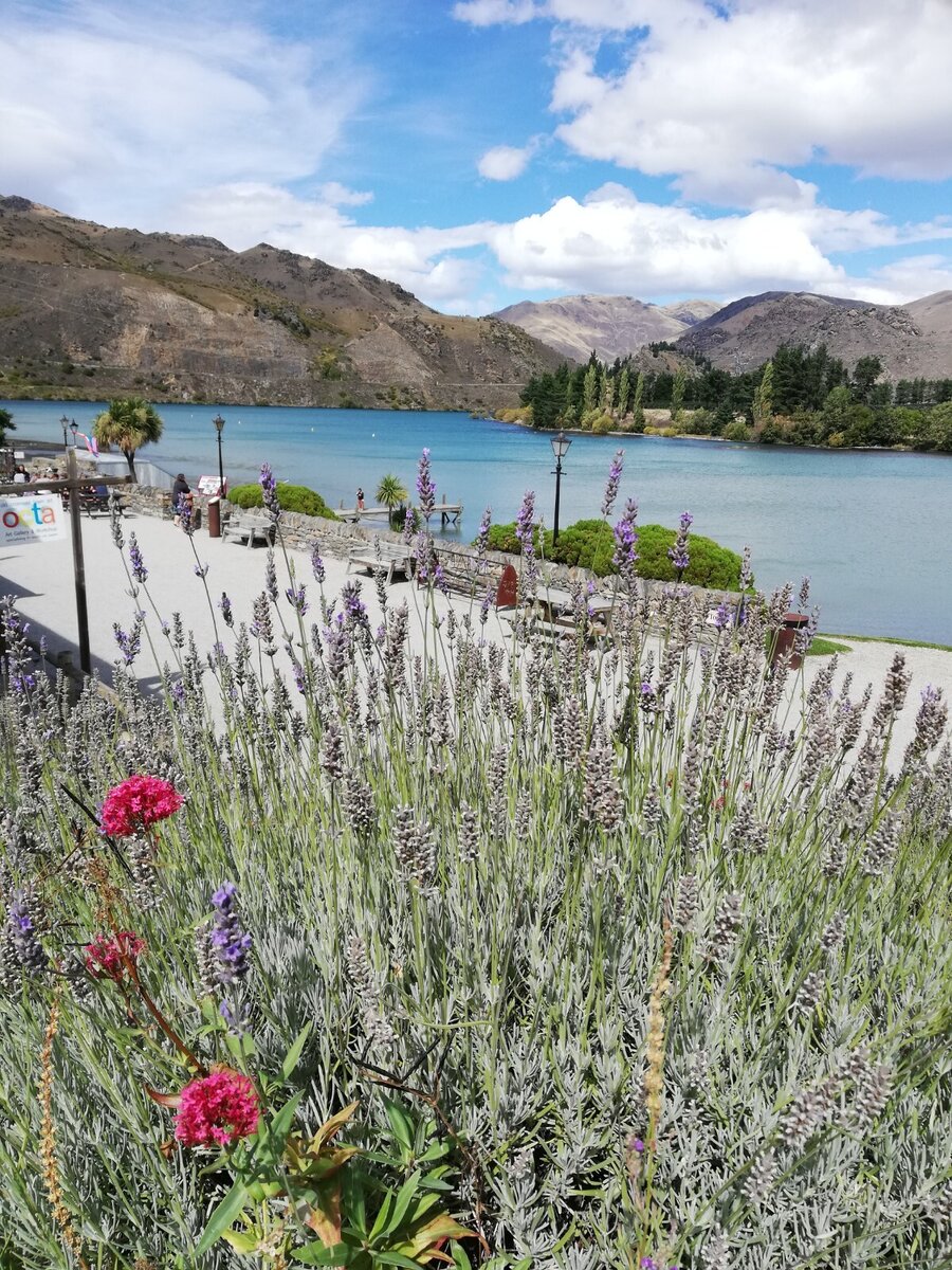 10 cool things to do in Queenstown - what the locals suggest.