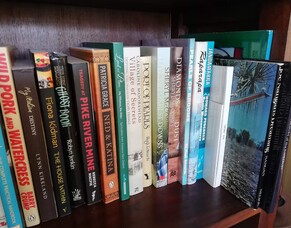 Satisfy your wanderlust with travel books.