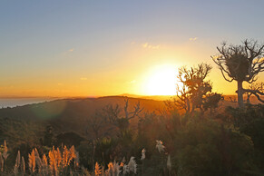 Your Ultimate Waiheke Island Summer Travel Guide