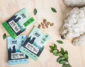 Wild at Heart &ndash; From Concept to Launch