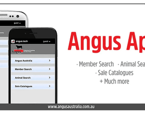 Get the Angus App