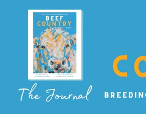 The Beef Country Podcast