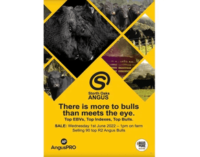 2022 Catalogue Available to View