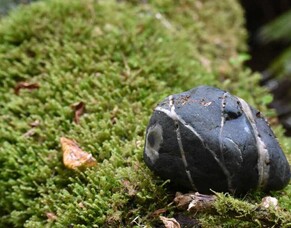 History never repeats...