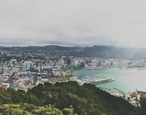 From Paper to AI: The Evolution of Business Databases in NZ