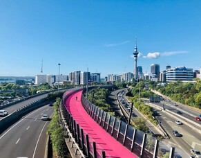 Preparing Your Business Data for AI: A Guide for New Zealand Startups