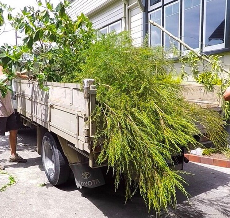 Property clean up and site preparation landscaping Nelson