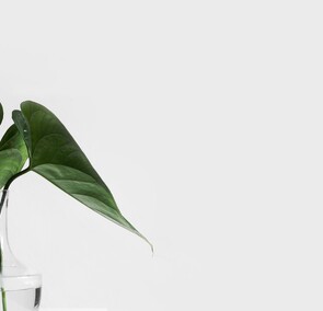 Job Search CV Interview Preparation New Zealand - Job Media Find Advertising Media Digital Marketing Jobs NZ Recruitment Agency