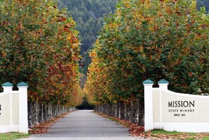 Wine Tours