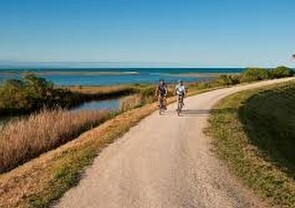 Cycle Trails