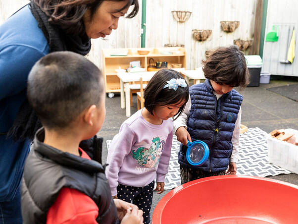 Mixed-age classroom – peer learning at Koru Montessori